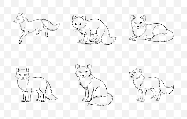 Entdecken Sie das ultimative Arctic Fox Line Art Vector Set mit atemberaubenden und detaillierten Illustrationen