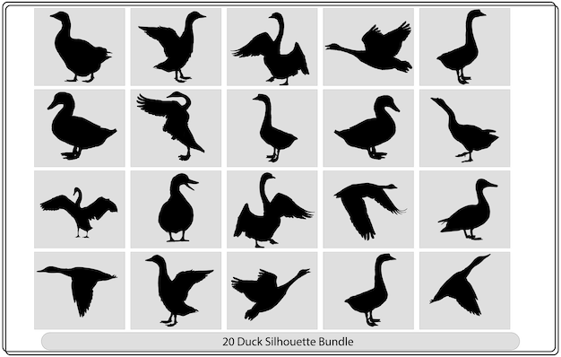 Enten-silhouette-set