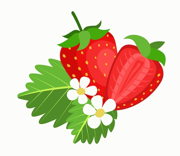 Erdbeere mit blättern flat style erdbeersymbol isoliert auf weißem hintergrund