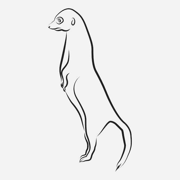 Erdmännchen Tier Strichzeichnungen