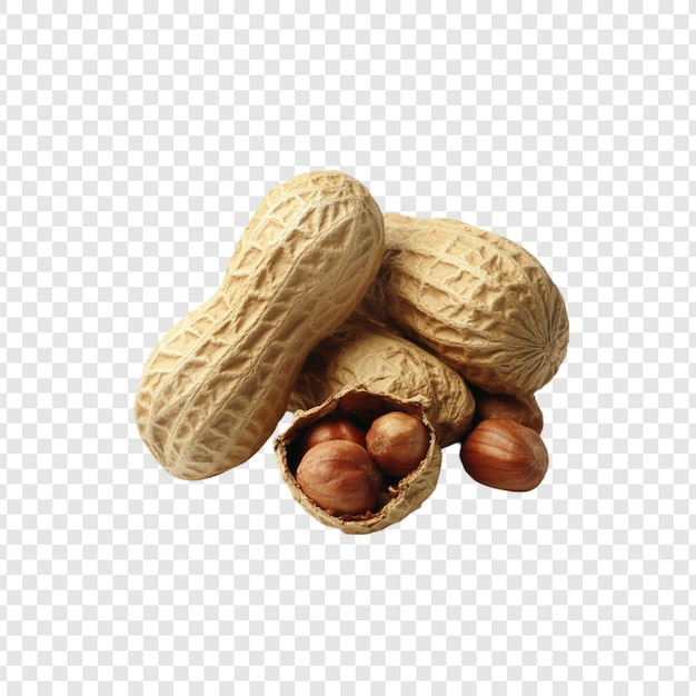 Erdnüsse und Haselnüsse in einem Haufen auf durchsichtigem Hintergrund