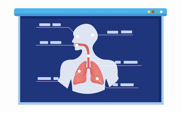 Erläuterung der anatomie der menschlichen lunge an einer tafel. wissenschaftliches und pädagogisches präsentationskonzept