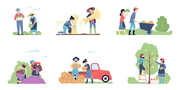 Ernte Herbst Menschen Herbst saisonale Ernte Freizeit Landwirtschaft Frauen und Männer Landwirte in Gartenfarm jüngste Vektorszenen
