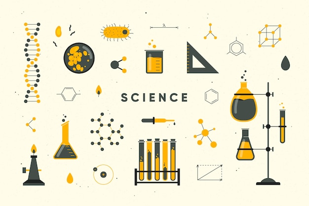 Erziehungswissenschaftliches konzept