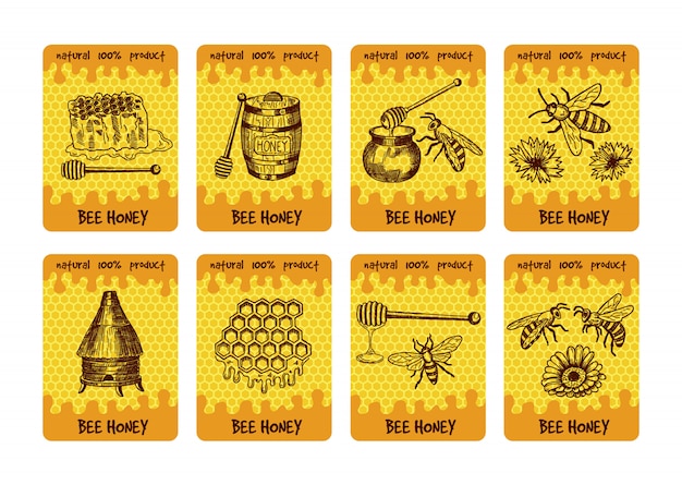 Etikettengestaltung für die verpackung von honigprodukten. abbildungen von honig und bienenwaben