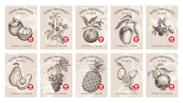 Etikettenset mit verschiedenen früchten und beeren mit aufschriften
