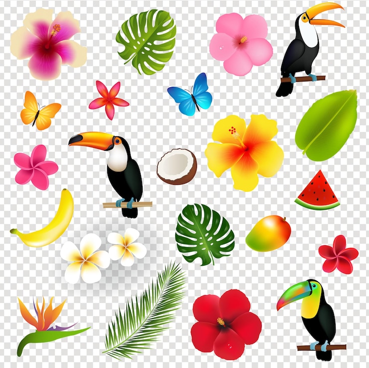 Vektor etropicalflowersandpalmblätterundfrüchteisolatedtransparentbackground_10_m_230405