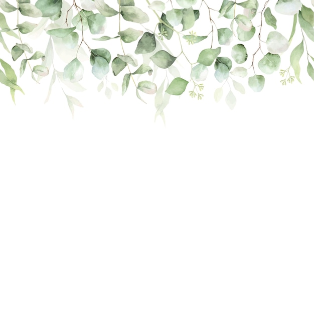 Vektor eukalyptus grünes blatt nahtlose grenze aquarell florale illustration