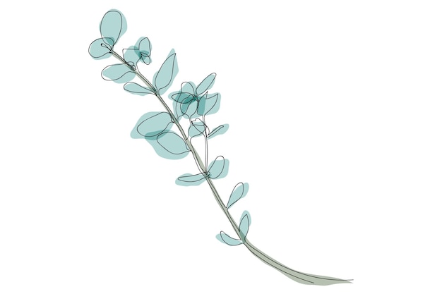 Vektor eukalyptus-silber-dollar-zweig kontinuierliche linienzeichnung einzeilige minimalismus-kunst mit grün-blauem fleck