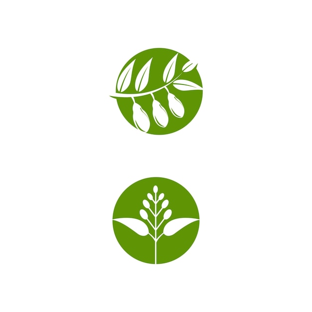 Eukalyptus verlässt logo-vektorschablonen-designillustration