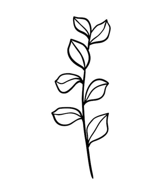 Eukalyptusblatt-vektor-illustration. blumenhand gezeichneter zweig, lineares element. boho elegante blätter auf weißem hintergrund. eukalyptuslaub silhouette, strichzeichnungen. doodle-gras-symbol.