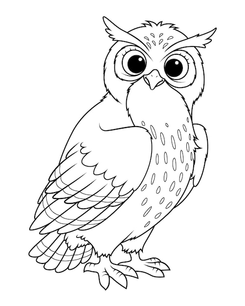 Eulen-Karikatur-Tierillustration BW