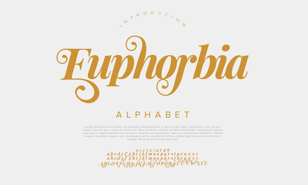 Euphorbia Premium Luxus elegantes Alphabet Buchstaben und Zahlen Vintage Hochzeits Typografie Klassiker