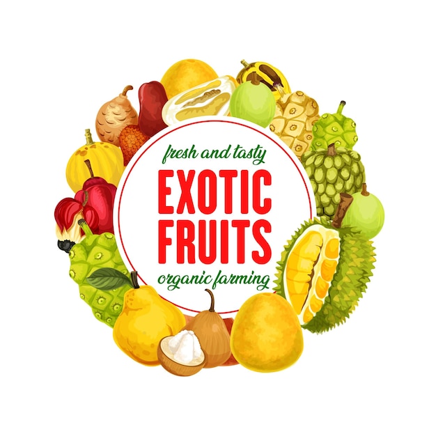 Exotische Früchte isoliertes Vektorbanner