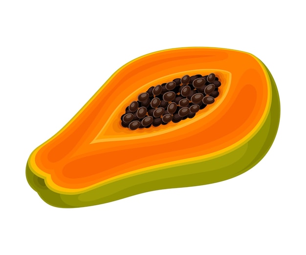 Vektor exotische orangefarbene papaya-früchte, isoliert auf weißem hintergrund
