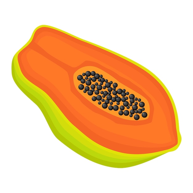 Exotische papaya vegane fruchtvektorflache isolierte illustration