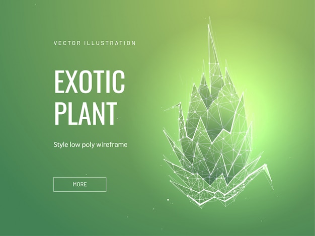 Exotische pflanze low poly wireframe vorlage