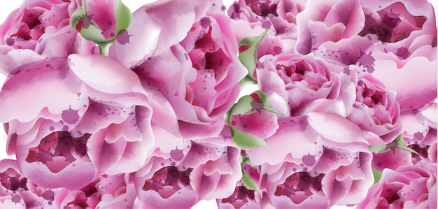 Exotischer Blumenhintergrund des Pfingstrosenaquarells