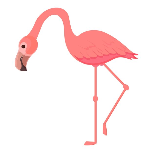 Vektor exotischer flamingo-symbol-cartoon-vektor niedlicher rosa vogel sommerflamingo