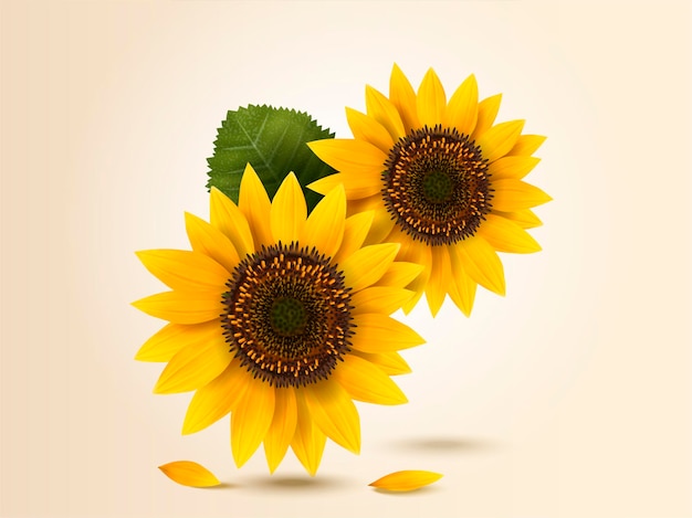 Exquisites sonnenblumen-designelement