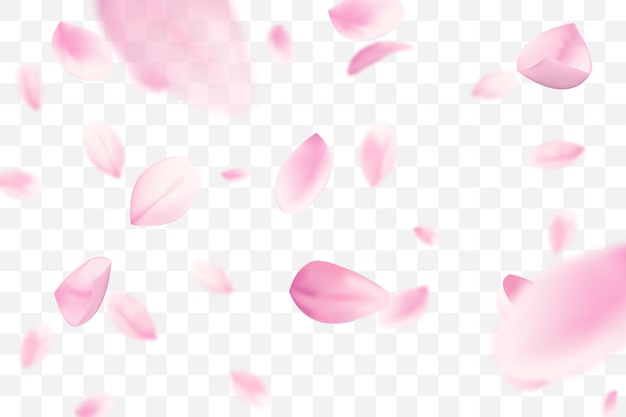 Fallende rosa sakura-blütenblätter mit unscharfen elementen in realistischem stil.