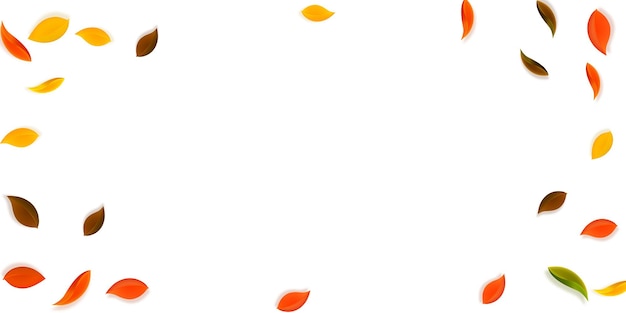Fallendes Herbstlaub. Rote, gelbe, grüne, braune ordentliche Blätter fliegen. Buntes Laub der Vignette auf fantastischem Sonnenunterganghintergrund. Charmanter Schulverkauf.