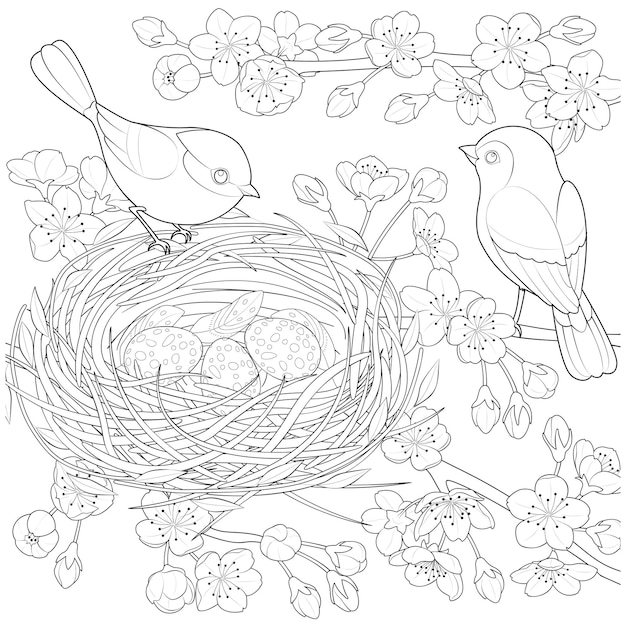Familienvögel in einem Nest, die Eltern füttern ihr Nestling