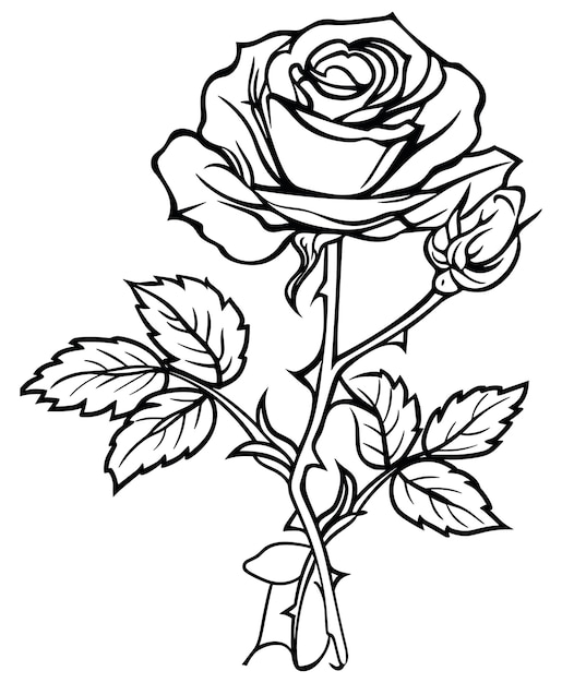 Vektor farbblätter für rosenblumen
