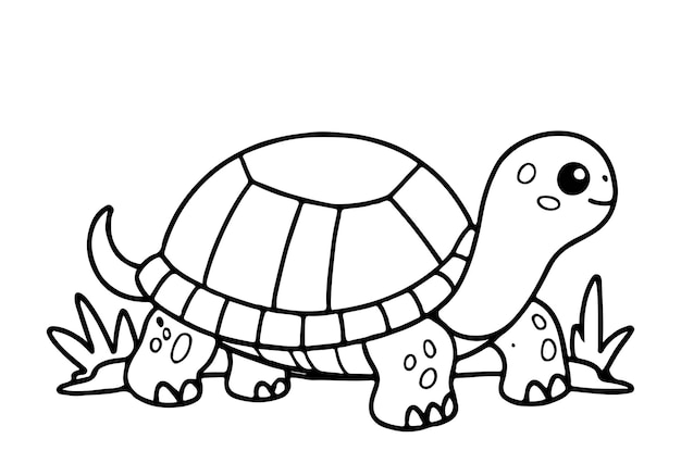 Farbblätter für Schildkrötenkinder
