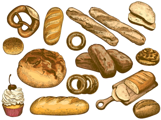 Vektor farbe handgezeichnetes brot. französisches brot, frischer bäckereidonut, sesambrötchen und brezelillustrationssatz.