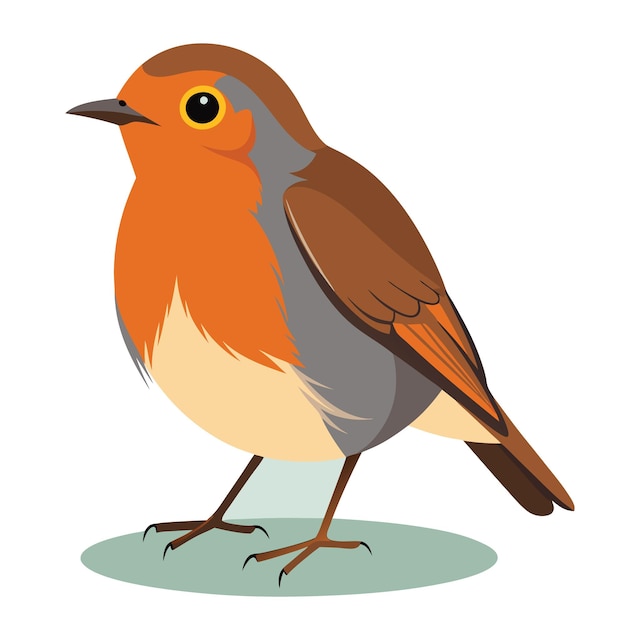 Farbiger Vektor von Robin Bird