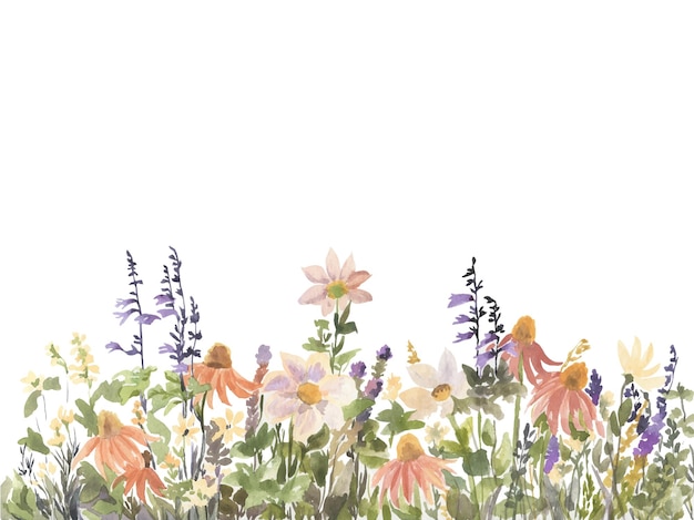 Farbiger wildblumen-hintergrund mit aquarell