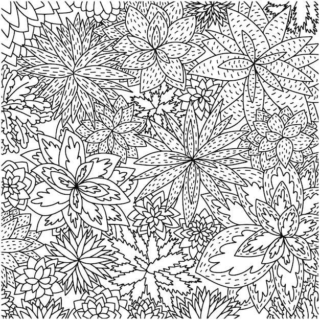 Farbseite mit pflanzenansicht oben niedlicher farbhintergrund mit verschiedenen arten von blumen vektor-malbuch für kinder und erwachsene