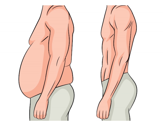 Farbvektorillustration lokalisiert auf weiß