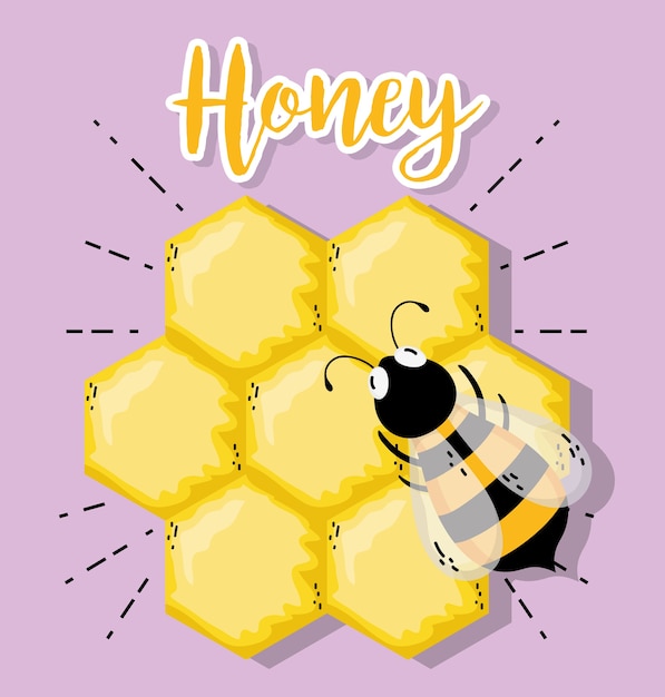 Farm frischer honig