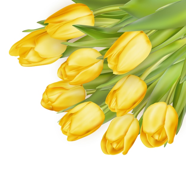 Feiertagshintergrund mit blumenstrauß der gelben tulpen.