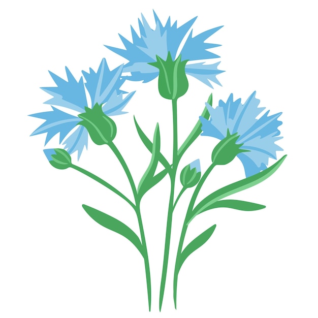 Vektor feld kornblumen vektor illustration isoliertes objekt