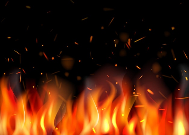 Feuerhintergrund Brennende Flammenpartikel verschiedene leuchtende Funken anständige Vektorgrafiken Kamin zum Entspannen