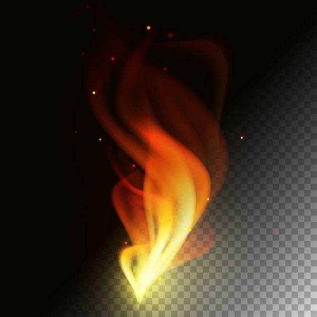 Fire flame