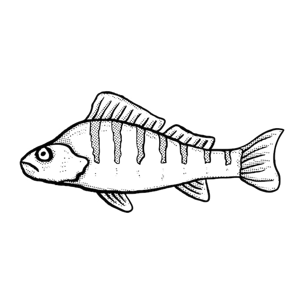 Vektor fisch illustration handgezeichnete cartoon-skizze lineart vintage-stil vektor