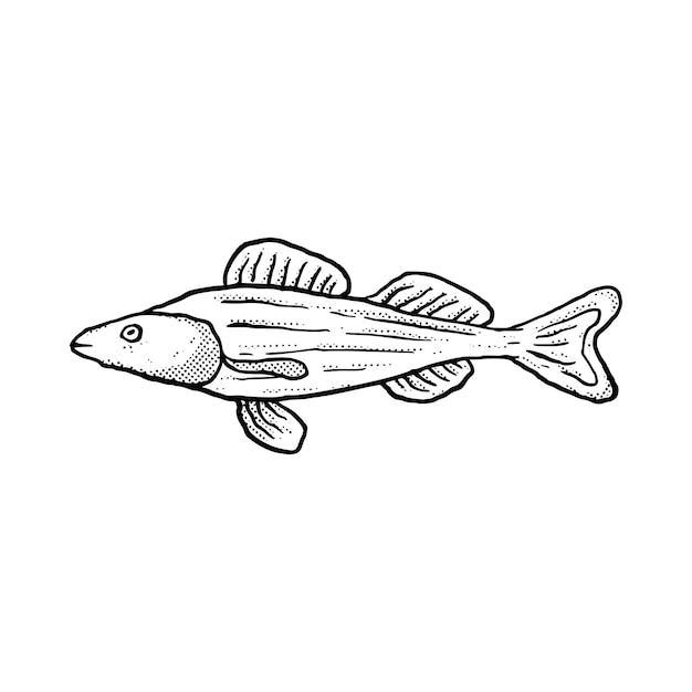 Fisch Illustration handgezeichnete Cartoon-Skizze Lineart Vintage-Stil Vektor