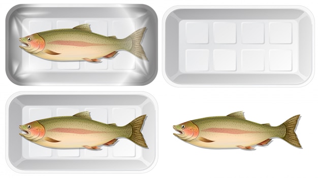 Vektor fisch in verpackung