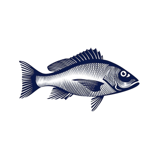 Vektor fisch-vektor-illustration