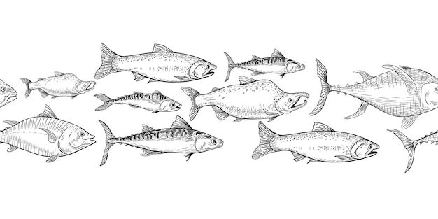 Fischschuppen Lachs Thunfisch schwarz-weiß Vektor nahtlose Grenze auf weiß Schuppenforelle Makrele handgezeichnet Flock Nerka Meerfisch monochrome Wiederholung Textur Gruppe Meerfisch grafische Linienkunst
