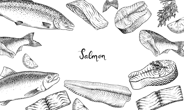 Fischskizze Poster oder Banner Lachsfilet Tinte handgezeichnet Vektor-Illustration Steaks Scheiben frisch