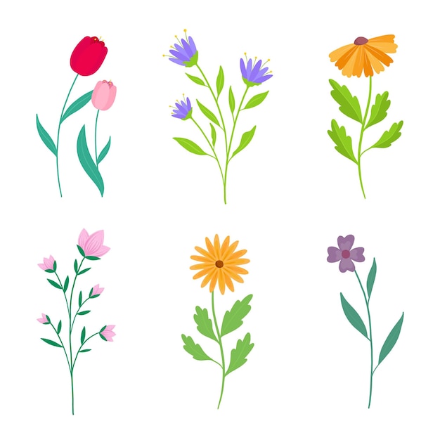 Flache detaillierte Frühlingsblumen-Set-Sammlung