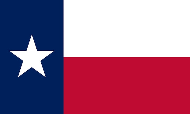 Vektor flache illustration der flagge des staates texas