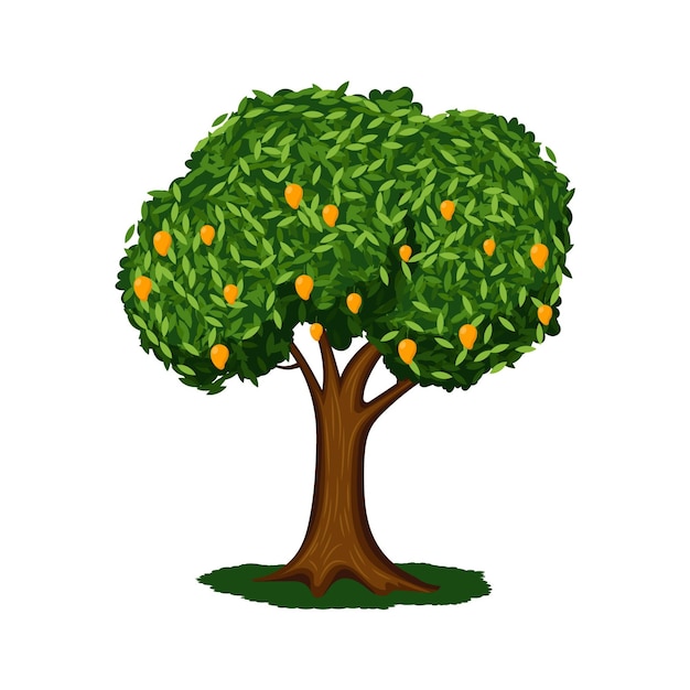 Vektor flacher design-mangobaum mit fruchtillustration