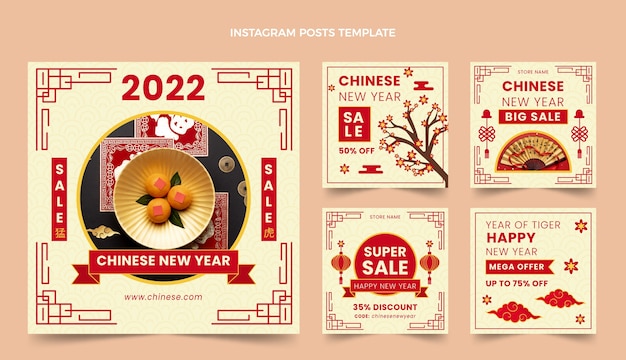 Vektor flaches chinesisches neujahr instagram posts sammlung