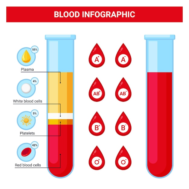 Flaches design blut infografik, konzept der blutzusammensetzung und blutgruppen